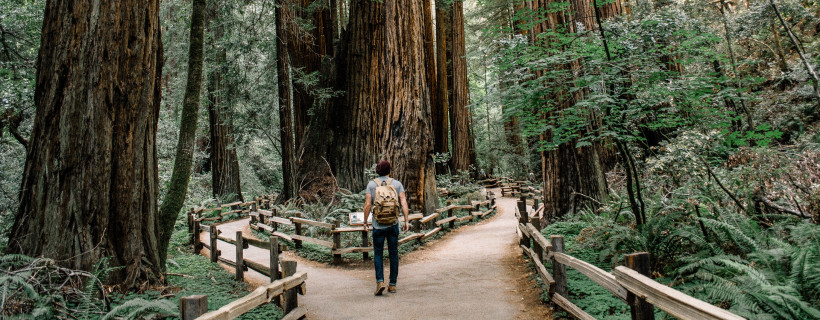 Schüler an Weggabelung als Symbol für Hilfe bei  Berufswahl